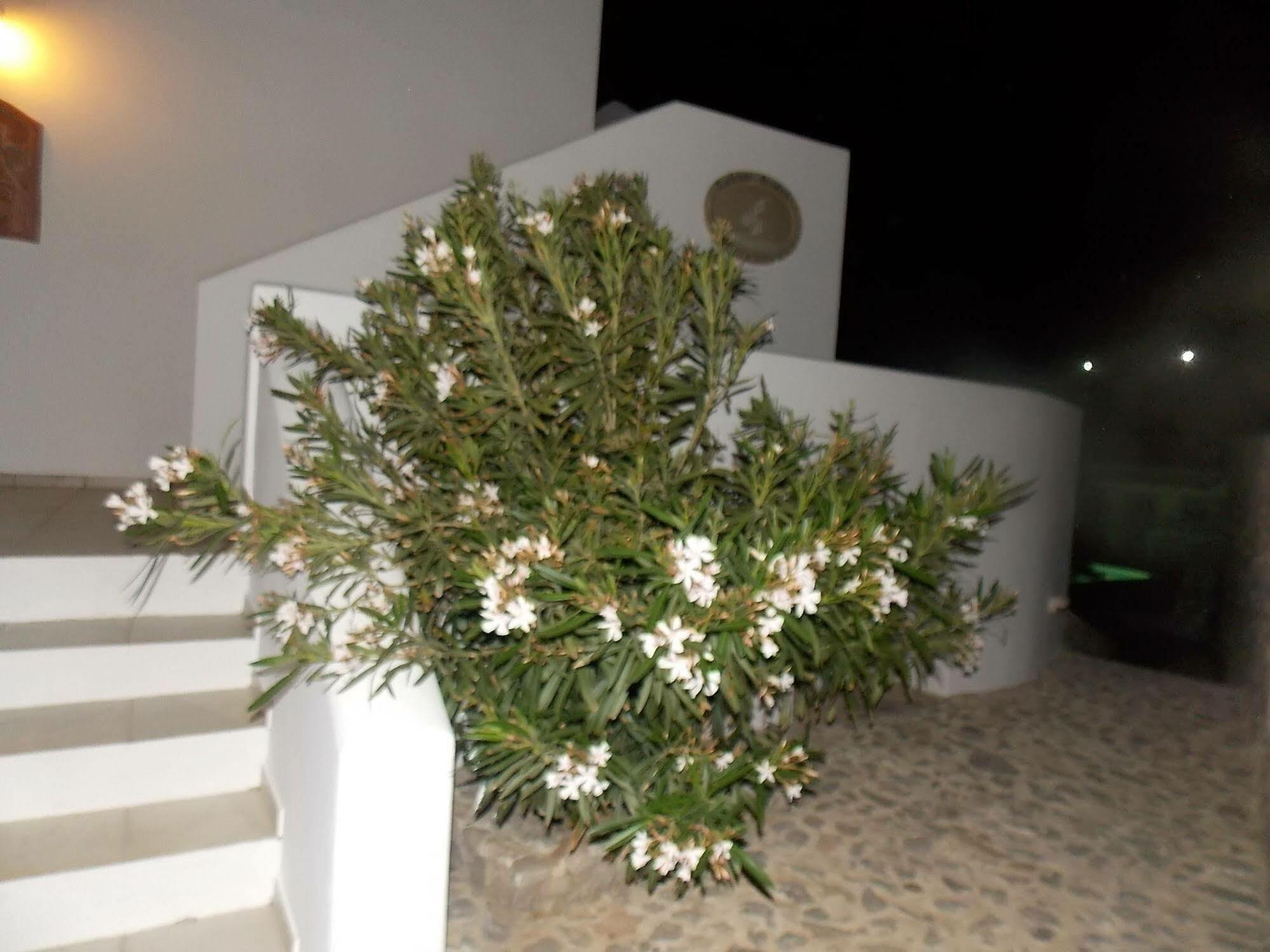 Lavarock Santorini Perissa  Zewnętrze zdjęcie